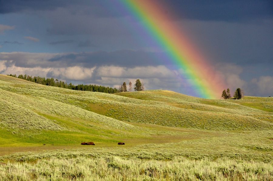 The Rainbow